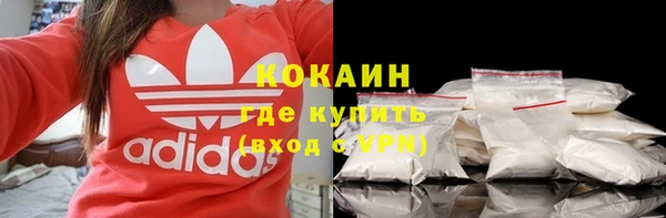 прущие грибы Баксан